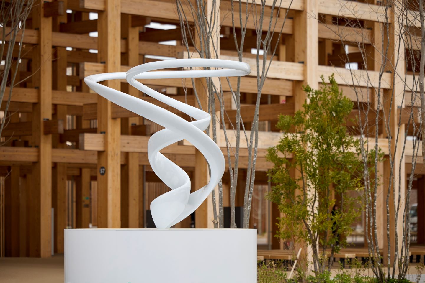 07.jpg?1763343792881