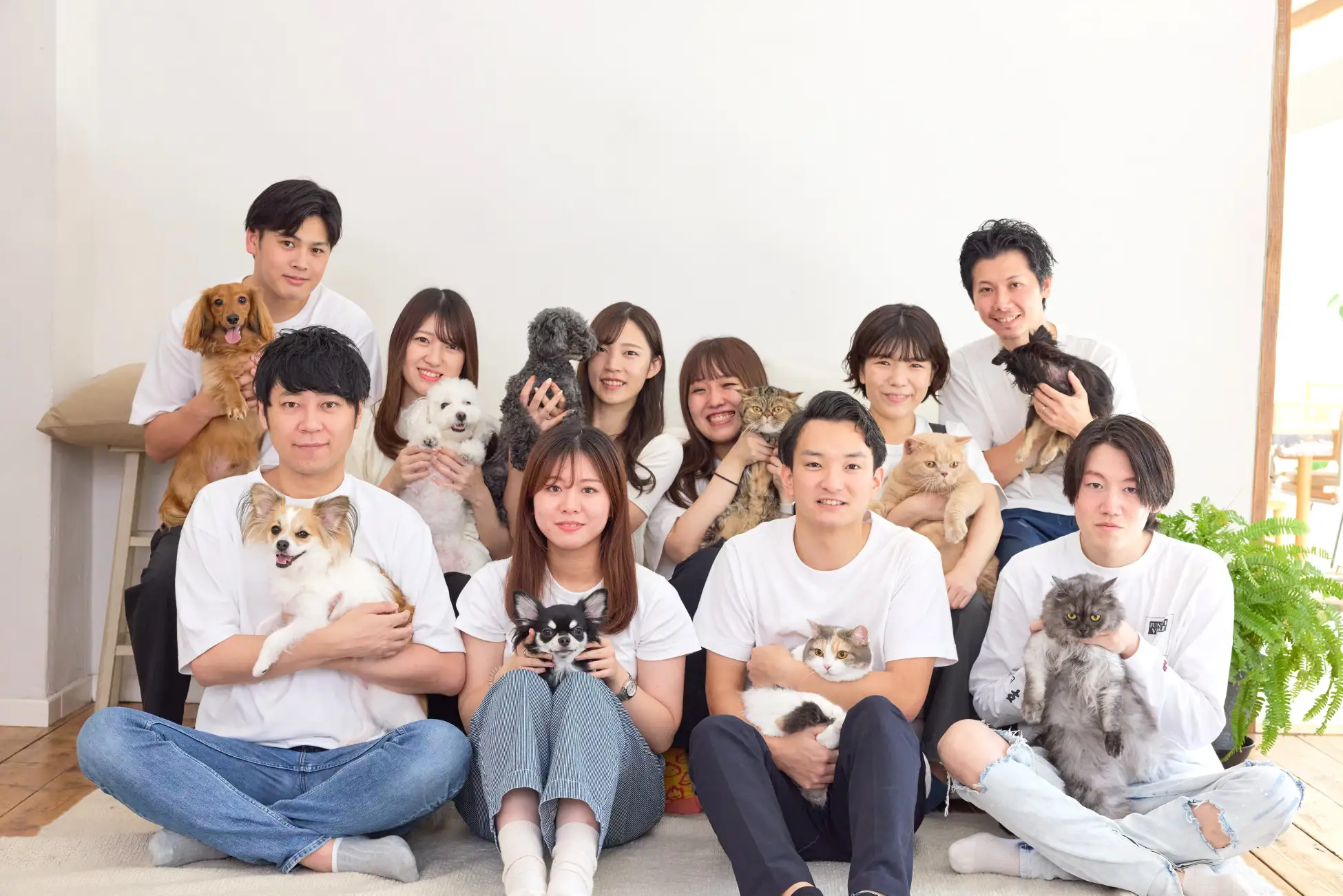 11.webp?1762081745467