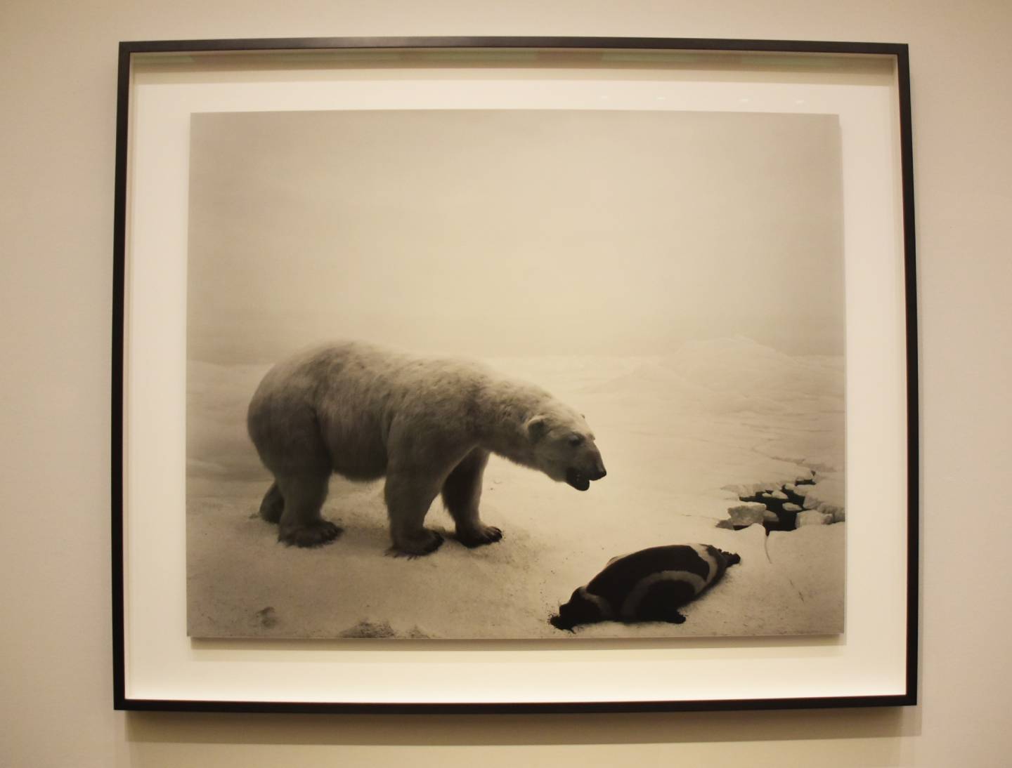 001.jpg?1763414619407