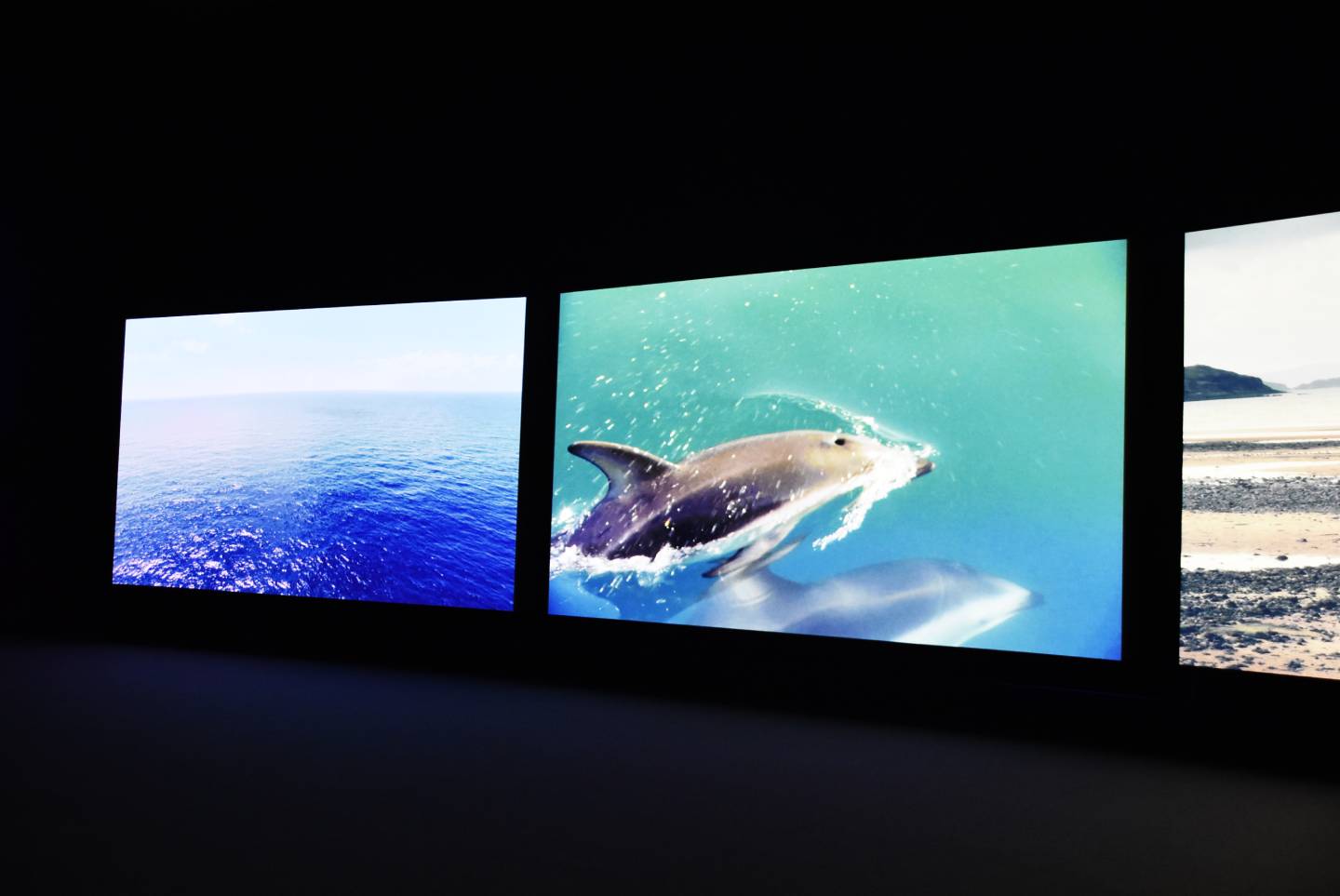 009.jpg?1763425666082