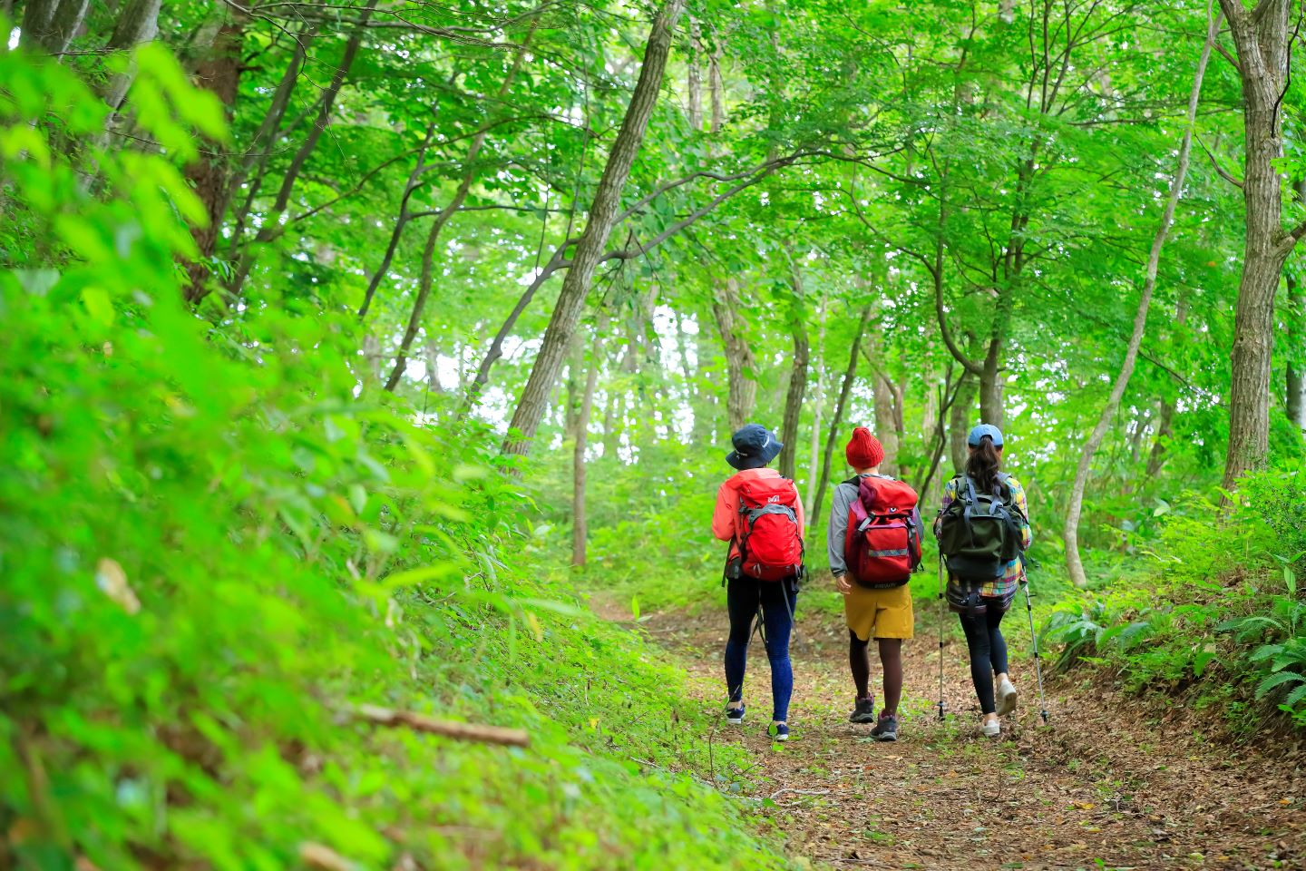 03.jpg?1763248830710