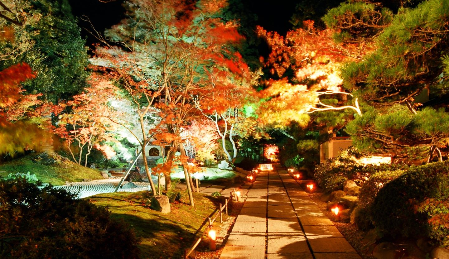 09.jpg?1763249370802