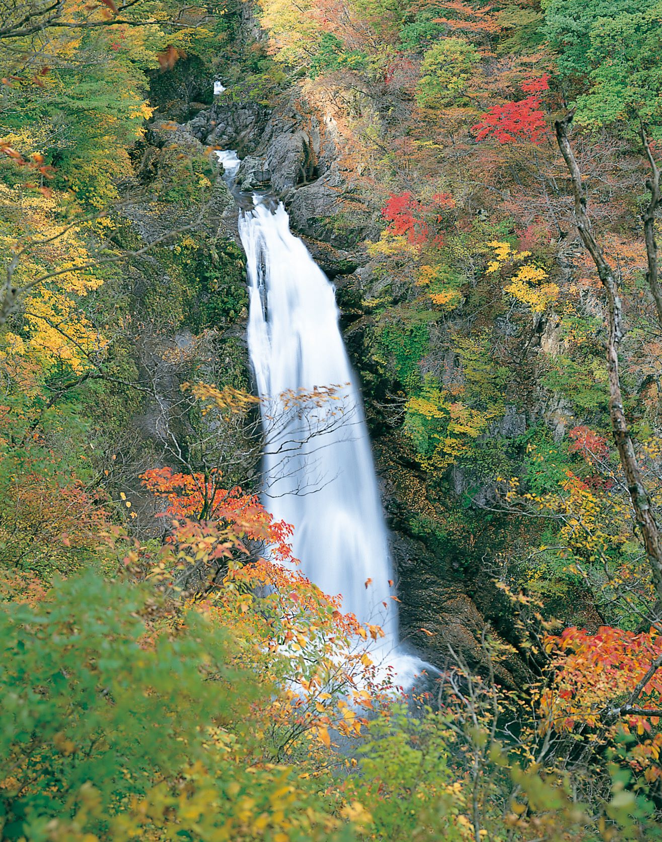 10.jpg?1763249442441