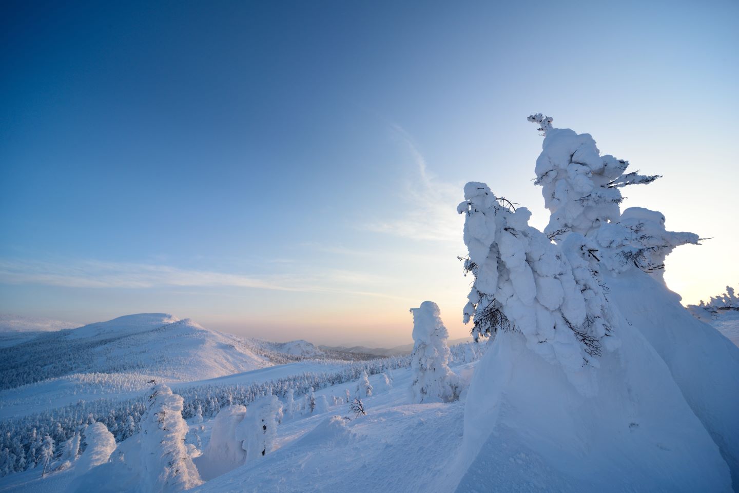 11.jpg?1763249514132