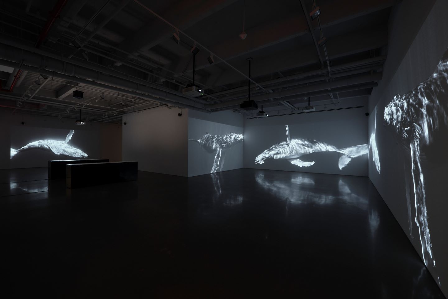20250115_KURIMANZUTTO_PATTI_SMITH_SOUNWALK_INVENTORY_INSTALL_ZH0107.jpg?1750716120591