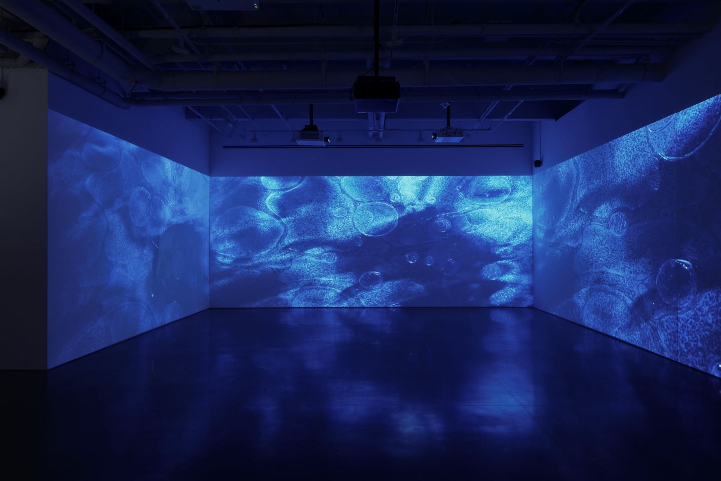 20250115_KURIMANZUTTO_PATTI_SMITH_SOUNWALK_INVENTORY_INSTALL_ZH0127.jpg?1750716488263
