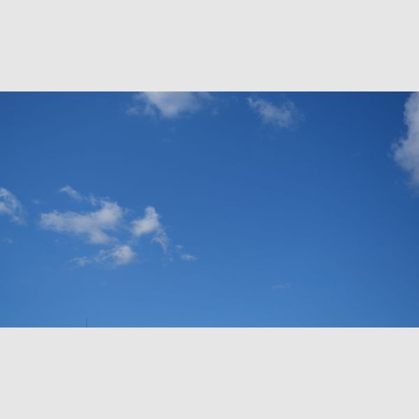 パスキン 「ルーシ・クロ-グの肖像」 原画同縮尺近似（15号）（プリハード・デジタグラ）